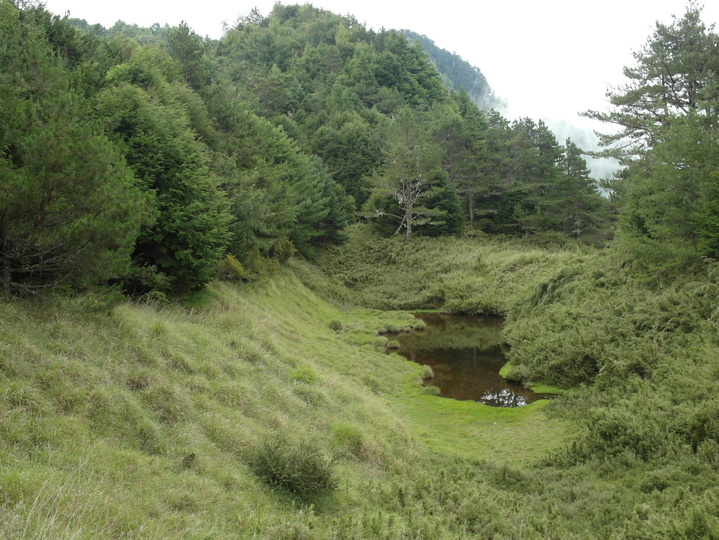 西堡鎮(西堡鄉)