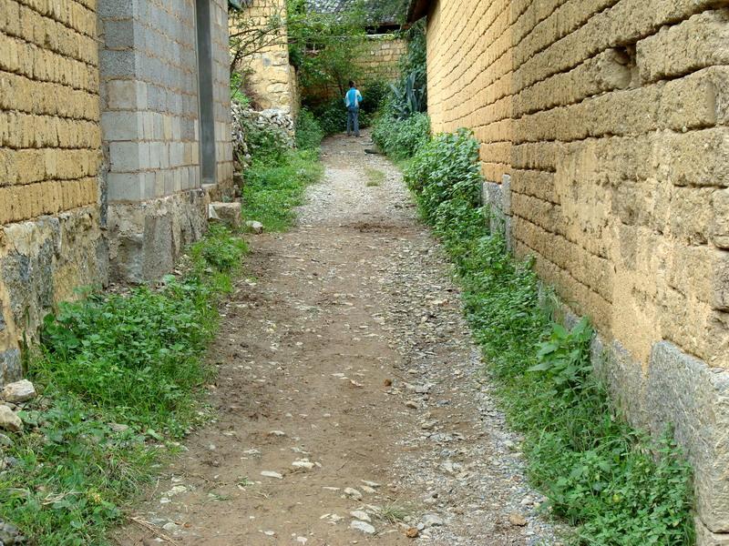 小秀林村村內道路