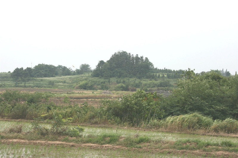 天生橋東南土墩墓群