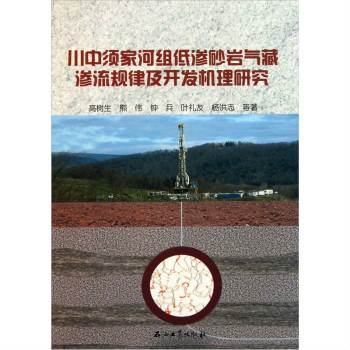 川中須家河組低滲砂岩氣藏滲流規律及開發機理研究