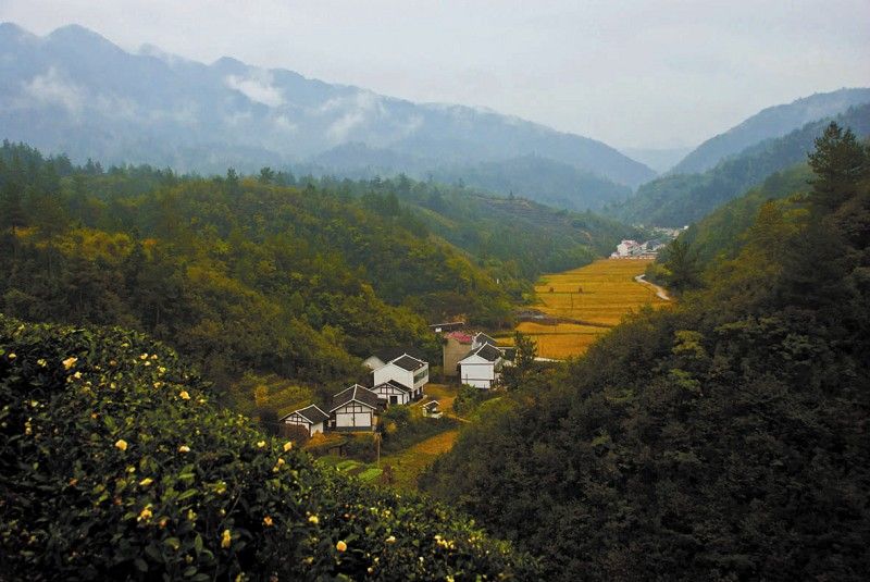 南潭生態文化旅遊村