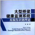 大型橋樑健康監測系統及損傷識別理論