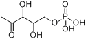 1-脫氧-D-葡萄糖-5-磷酸酯