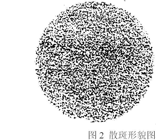 圖2 散斑形貌圖