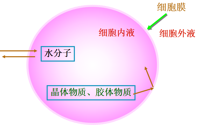 滲透壓定律