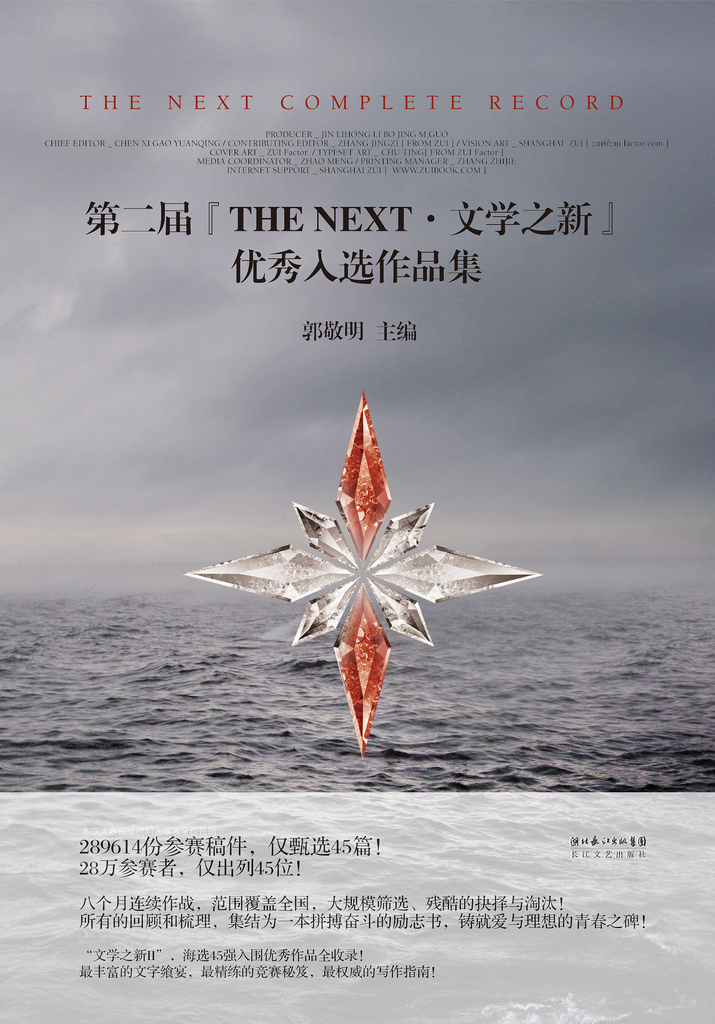 《第二屆THE NEXT文學之新優秀入選作品集》