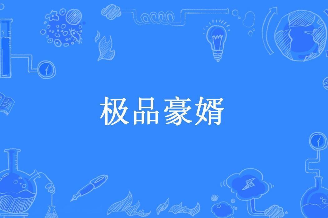 極品豪婿(阿豪所著小說)