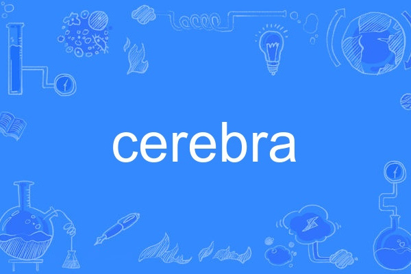 cerebra