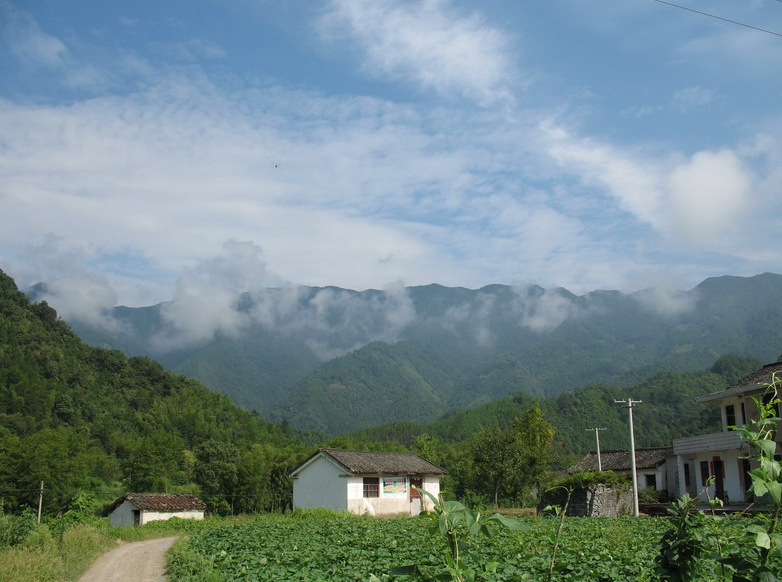 大山村(雲南省曲靖市馬龍縣舊縣鎮大山村)