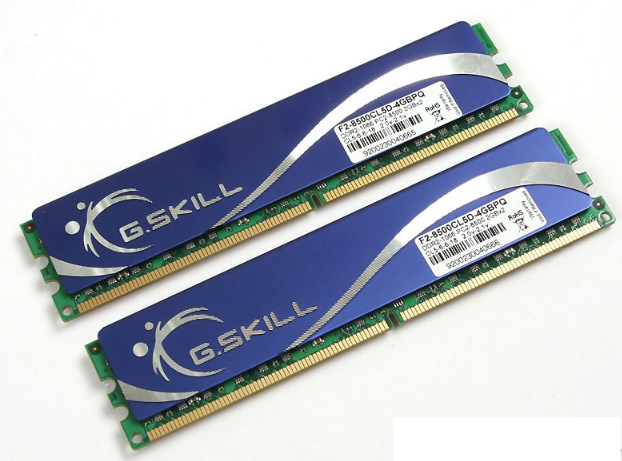 芝奇4GB DDR2 1066(F2-8500CL5D-4GBPQ)