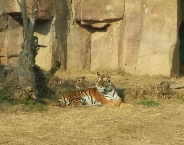 臨沂動植物園