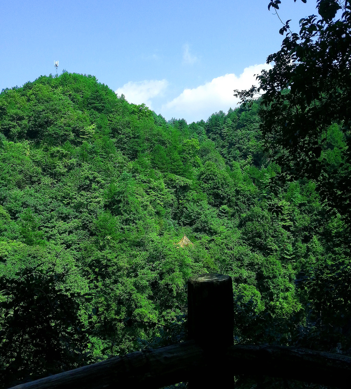 綠樹掩映下的川洞庵天坑