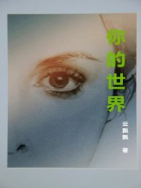 你的世界(雲飄飄所著小說)