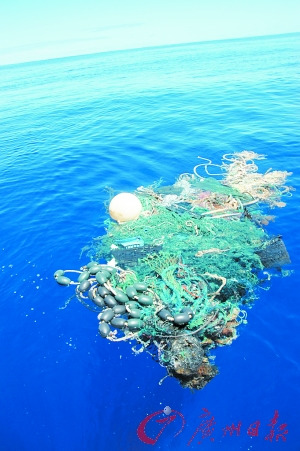 各種水生生物和一些垃圾捆綁在了一起