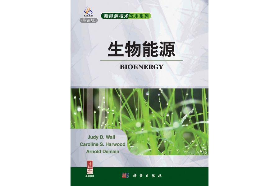 生物能源(2011年科學出版社出版的圖書)