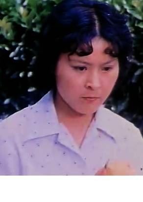 愛情啊，你姓什麼？(1980年顏碧麗執導的電影)