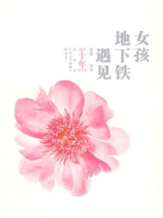 萌芽十年精華集·小說卷：遇見地下鐵女孩