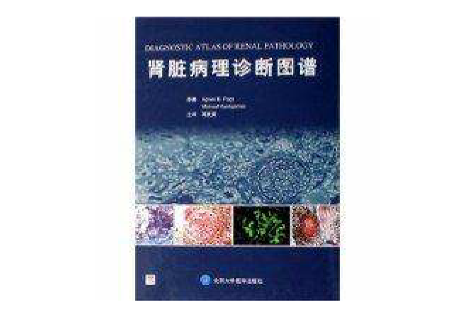 腎臟病理診斷圖譜(2007年北京大學醫學出版社出版的圖書)