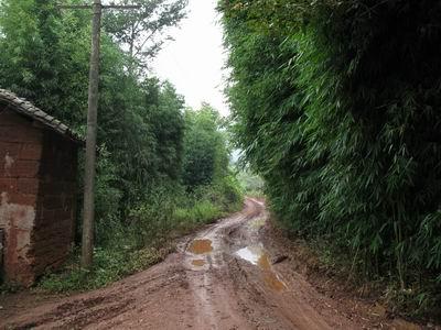 漆樹塘村