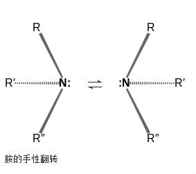 胺的手性翻轉