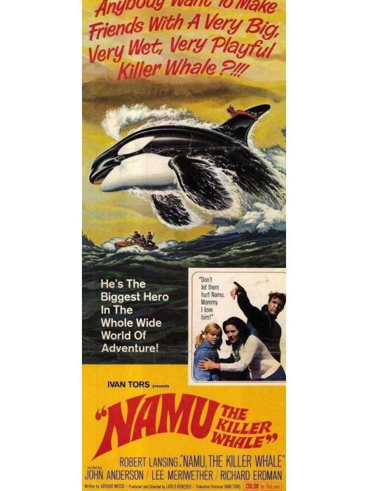 Namu, the Killer Whale