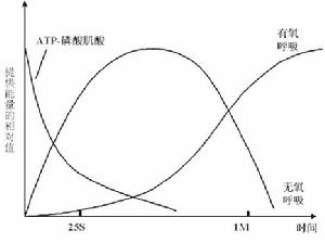 無氧呼吸過程示例圖