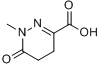 1-甲基-6-氧代-1,4,5,6-四氫噠嗪-3-甲酸