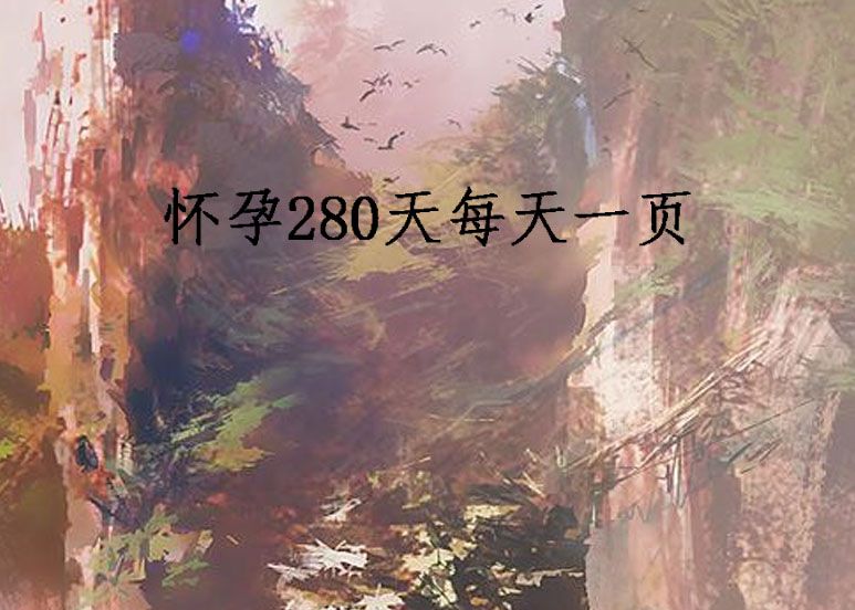 懷孕280天每天一頁