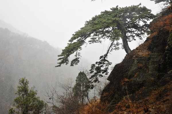 迎泰山