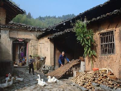 務溪鄉岙頭村