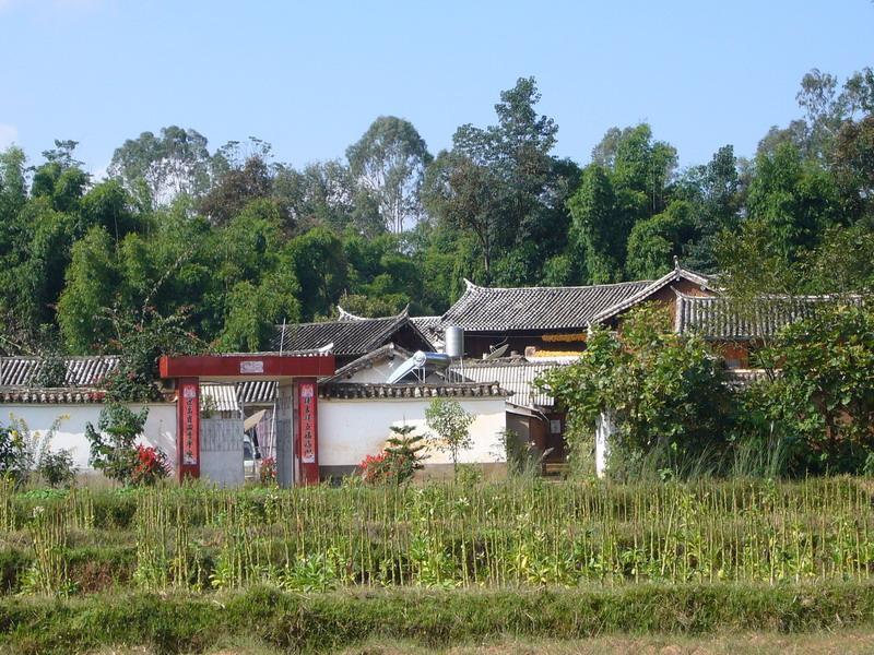 桃樹村(雲南省大理市太邑彝族鄉桃樹村)