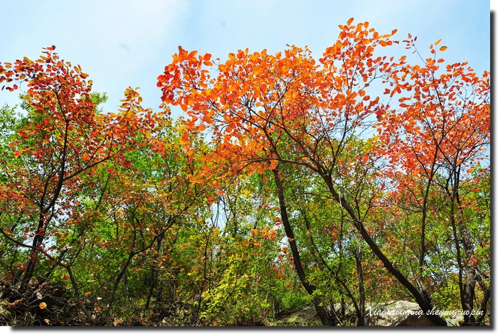 大紅寨