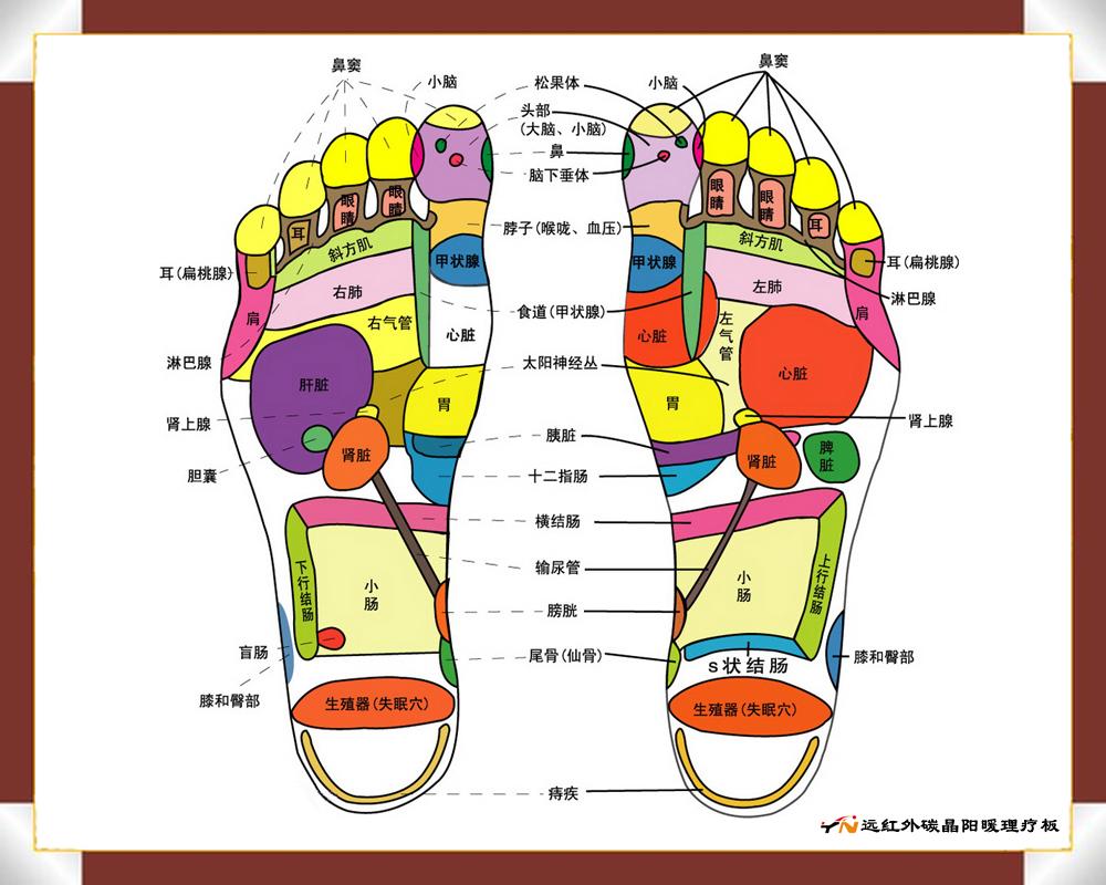 上海香通國際貿易有限公司