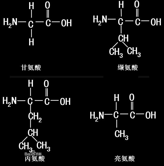 施骨密片