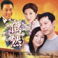 偶然(2004年王亞楠主演電視劇)