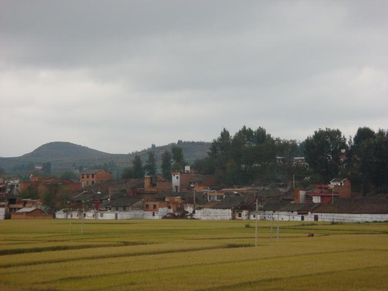 來賓鎮河東村