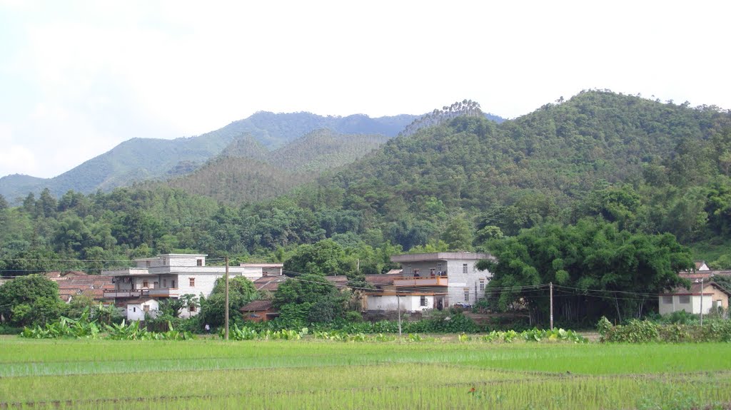 永安村(雲南省普洱市景谷縣威遠鎮永安村)