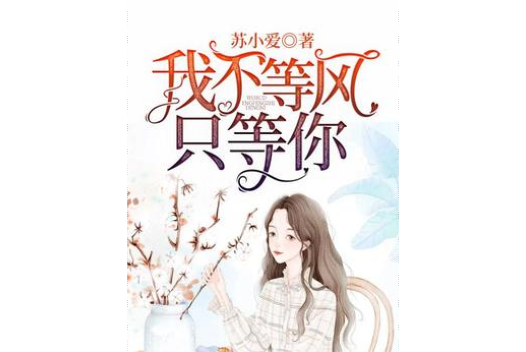 我不等風只等你(蘇小愛所著小說)