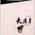 甘肅歷史系列小說：大唐月