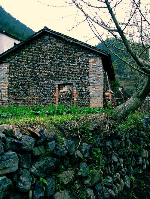 浙川村