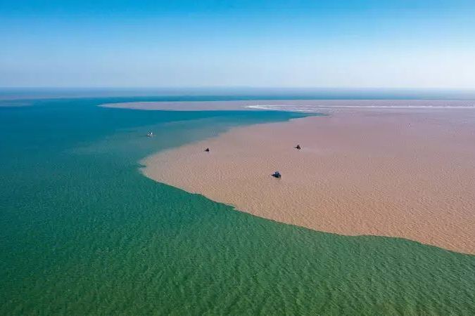 遼寧葫蘆島六股河入海口濱海濕地市級自然保護區