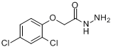 2,4-二氯苯氧乙醯肼