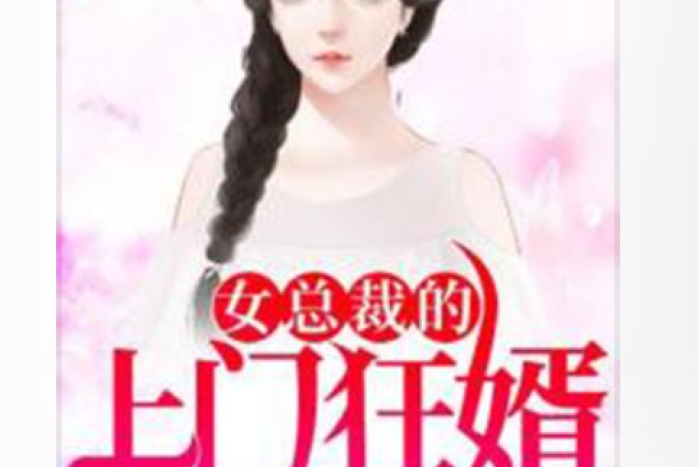 女總裁的上門狂婿(土豆先生所著小說)