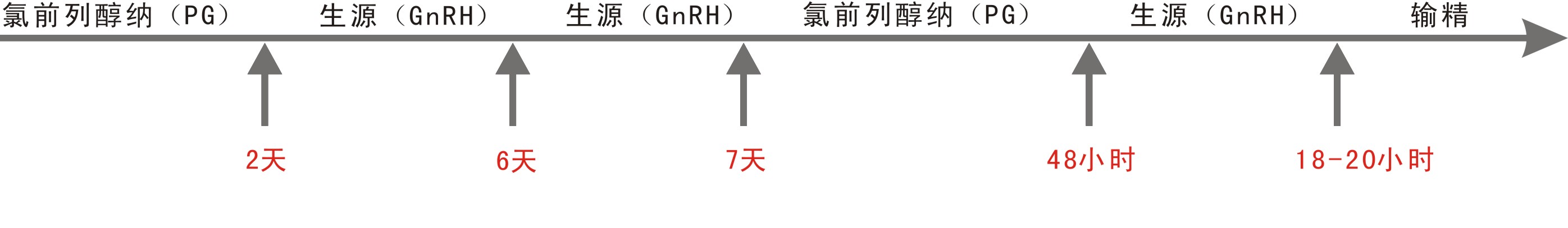 定時輸精程式