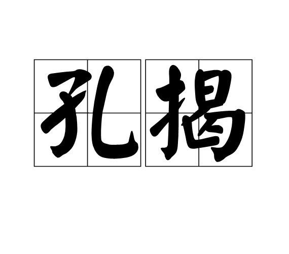 孔揭