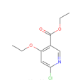 6-氯-4-乙氧基吡啶-3-羧酸乙酯