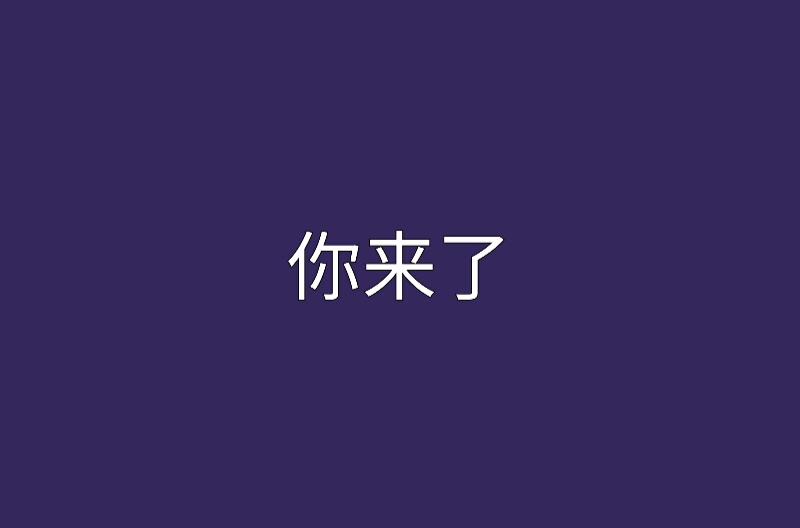 你來了(小說)