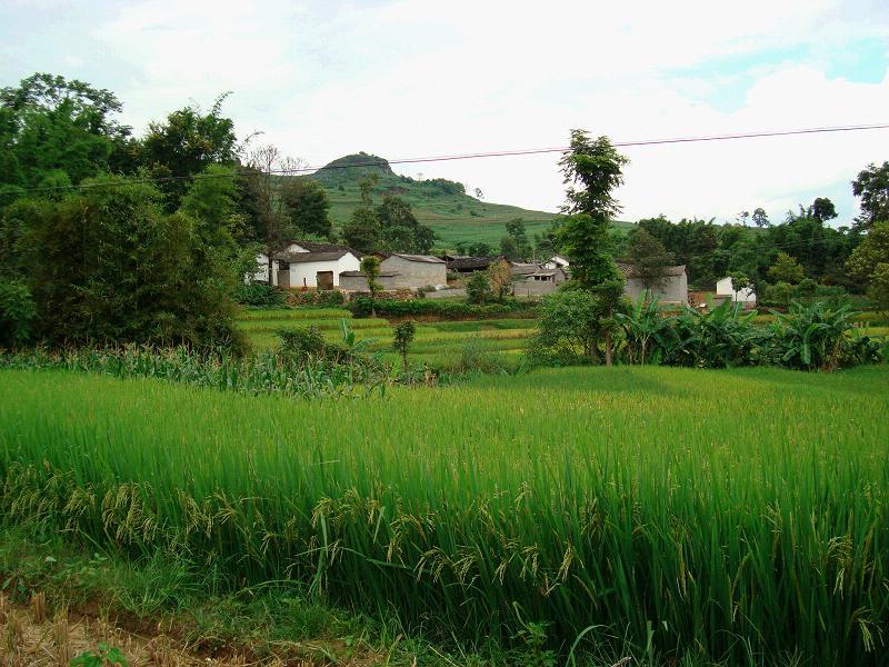 硝塘山村