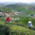 花屋河村