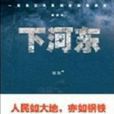 下河東(姬妮所著的長篇小說)